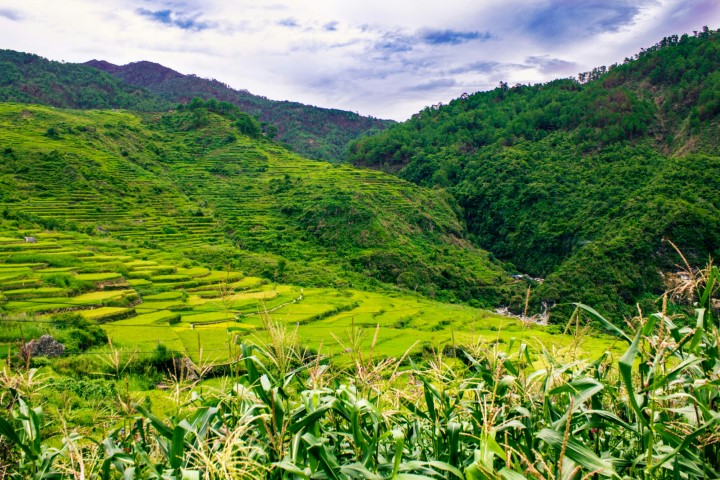 northern Luzon rice terraces | Featured image of the Northern Luzon Road Trip Destinations